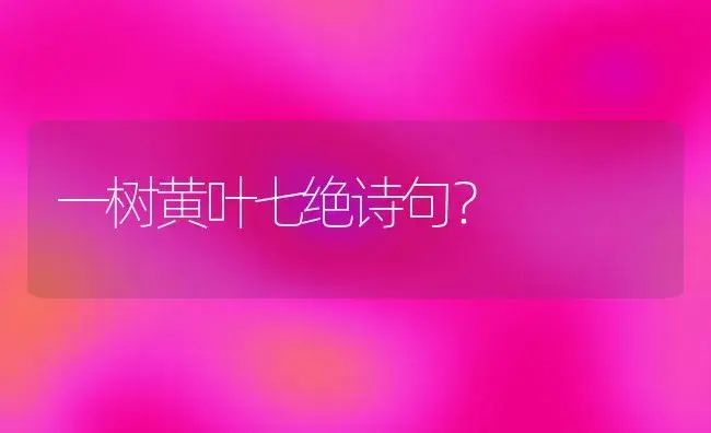 一树黄叶七绝诗句？ | 多肉养殖