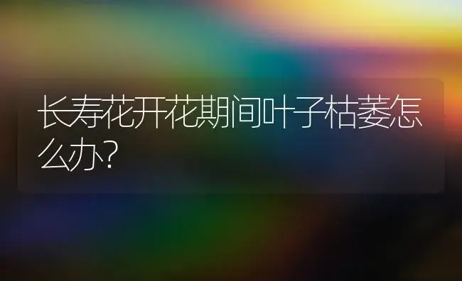 长寿花开花期间叶子枯萎怎么办？ | 多肉养殖