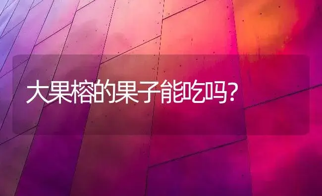 大果榕的果子能吃吗？ | 家庭养花