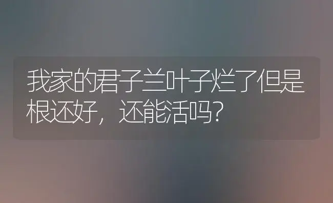 我家的君子兰叶子烂了但是根还好，还能活吗？ | 绿植常识