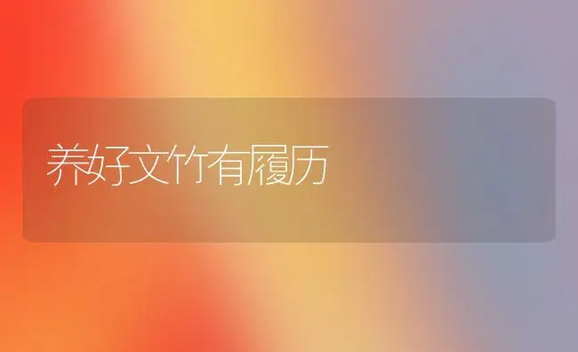 养好文竹有履历 | 家庭养花