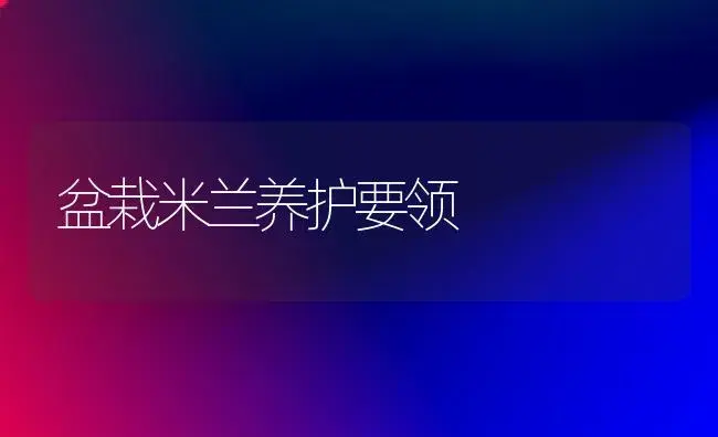 盆栽米兰养护要领 | 家庭养花