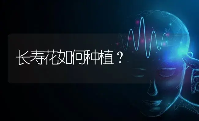 长寿花如何种植？ | 特种种植