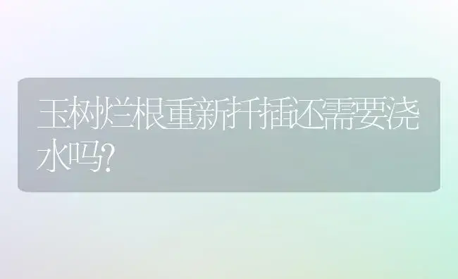 玉树烂根重新扦插还需要浇水吗？ | 多肉养殖