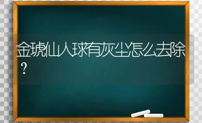 金琥仙人球有灰尘怎么去除？ | 多肉养殖