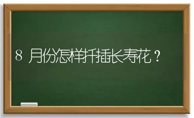 8月份怎样扦插长寿花？ | 多肉养殖