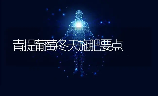 青提葡萄冬天施肥要点 | 果木种植