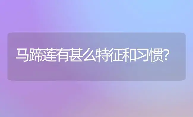 马蹄莲有甚么特征和习惯？ | 家庭养花