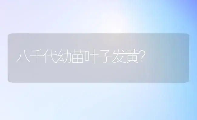 八千代幼苗叶子发黄？ | 多肉养殖