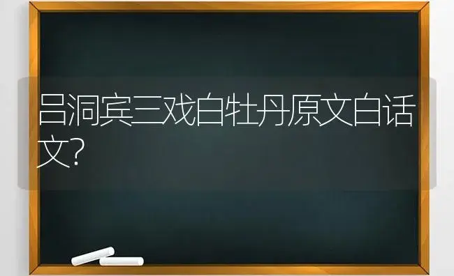 吕洞宾三戏白牡丹原文白话文？ | 多肉养殖