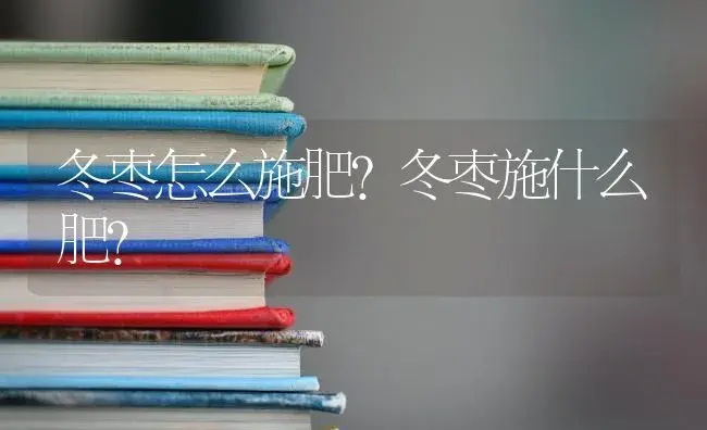 冬枣怎么施肥？冬枣施什么肥？ | 果木种植