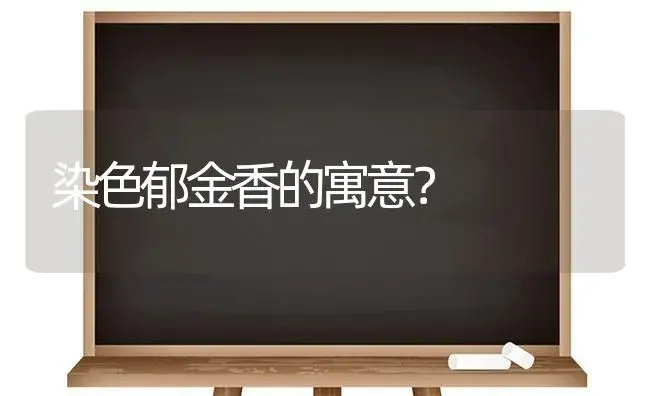 染色郁金香的寓意？ | 绿植常识