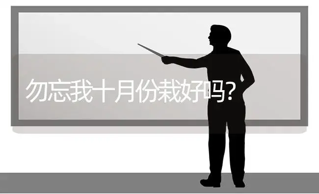 勿忘我十月份栽好吗？ | 绿植常识