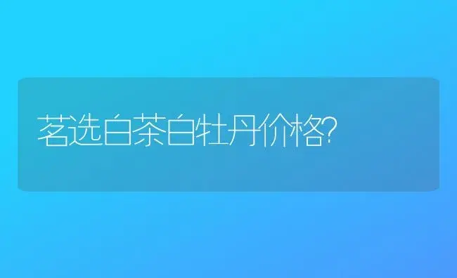 茗选白茶白牡丹价格？ | 多肉养殖