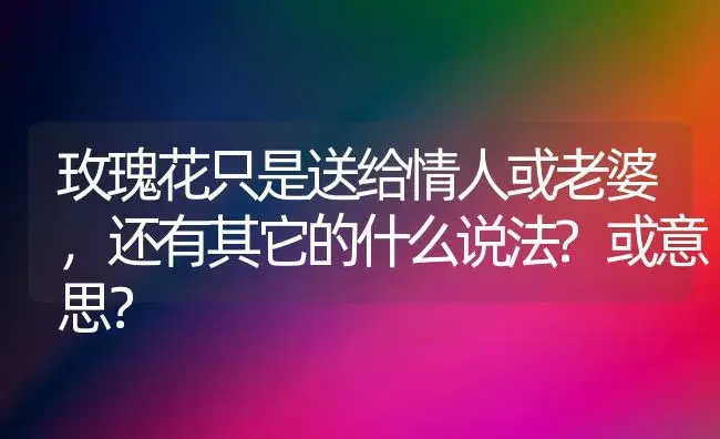 玫瑰花只是送给情人或老婆，还有其它的什么说法?或意思？ | 绿植常识