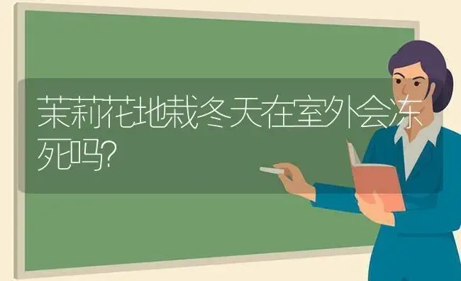 茉莉花地栽冬天在室外会冻死吗？ | 绿植常识