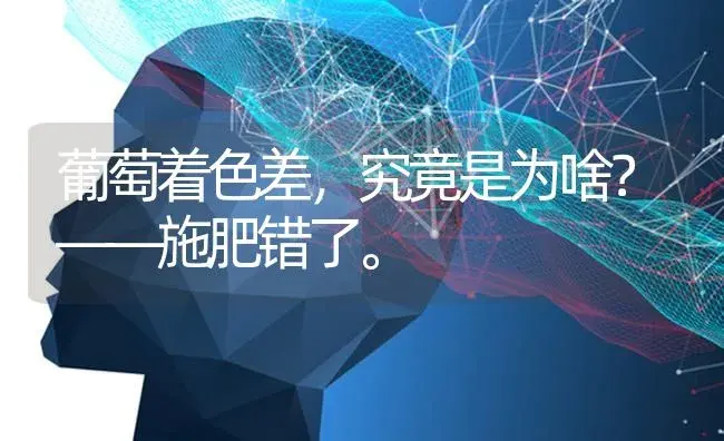 葡萄着色差，究竟是为啥？——施肥错了。 | 果木种植