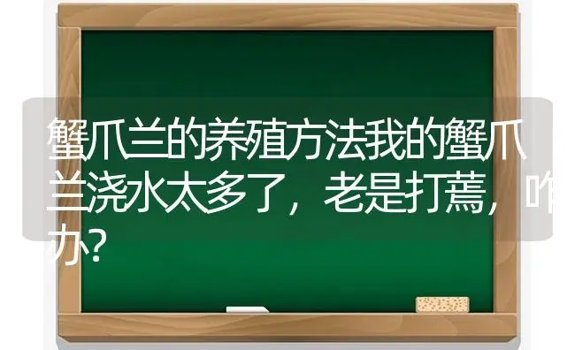 蟹爪兰的养殖方法我的蟹爪兰浇水太多了,老是打蔫,咋办？ | 多肉养殖