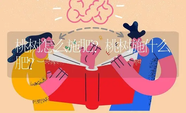 桃树怎么施肥？桃树施什么肥？ | 果木种植