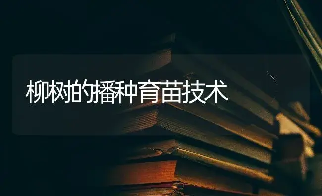 柳树的播种育苗技术 | 特种种植