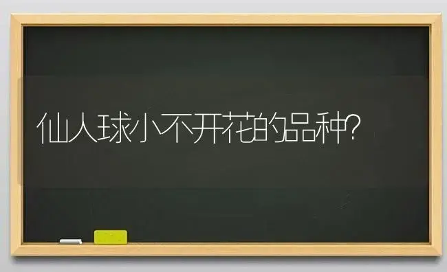 仙人球小不开花的品种？ | 多肉养殖