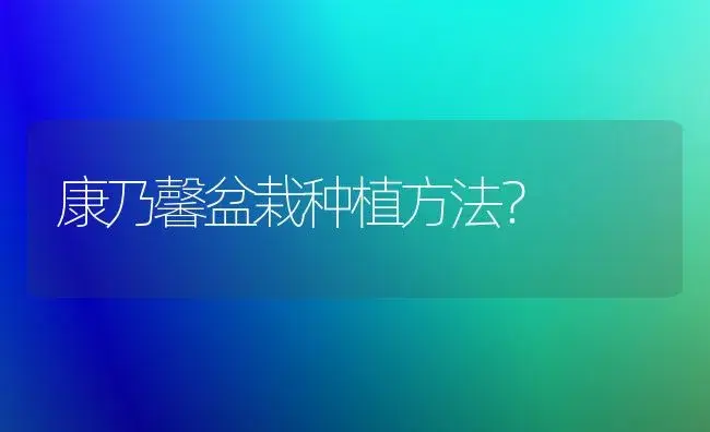 康乃馨盆栽种植方法？ | 绿植常识