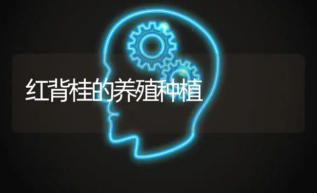 红背桂的养殖种植 | 特种种植