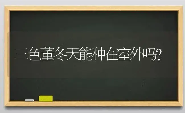 三色董冬天能种在室外吗？ | 绿植常识