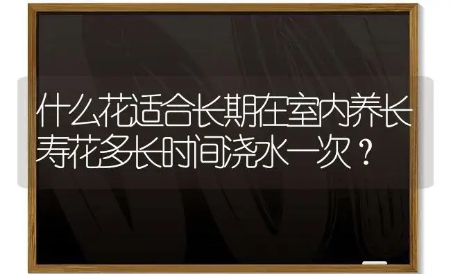 什么花适合长期在室内养长寿花多长时间浇水一次？ | 多肉养殖