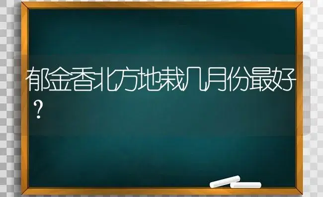 郁金香北方地栽几月份最好？ | 绿植常识