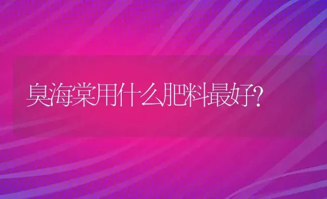 臭海棠用什么肥料最好？ | 绿植常识