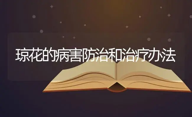 琼花的病害防治和治疗办法 | 特种种植