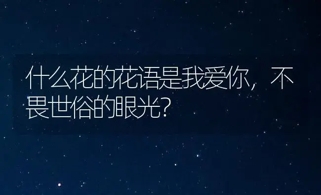 什么花的花语是我爱你，不畏世俗的眼光？ | 绿植常识