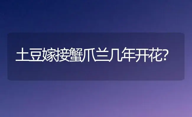 土豆嫁接蟹爪兰几年开花？ | 多肉养殖