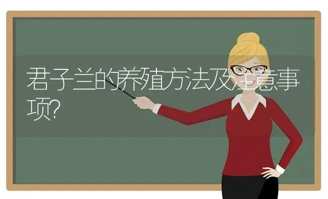 君子兰的养殖方法及注意事项？ | 绿植常识