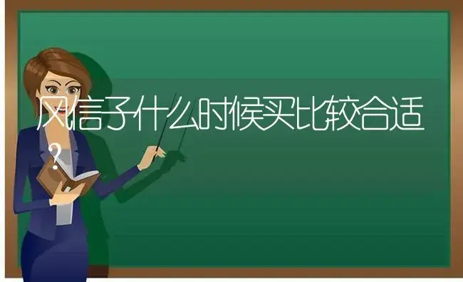 栀子花用营养土还是园土？ | 绿植常识