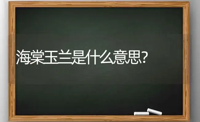 海棠玉兰是什么意思？ | 绿植常识