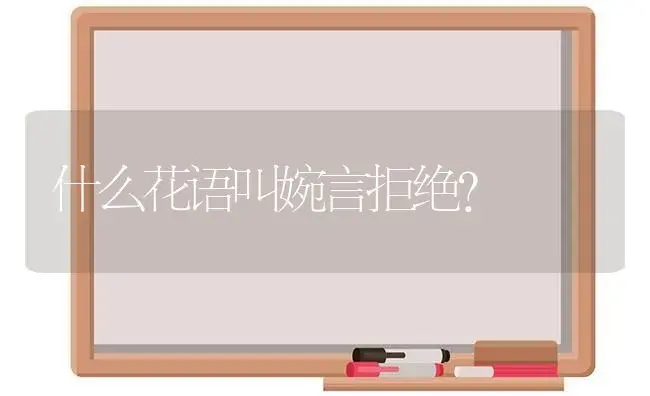 什么花语叫婉言拒绝？ | 绿植常识