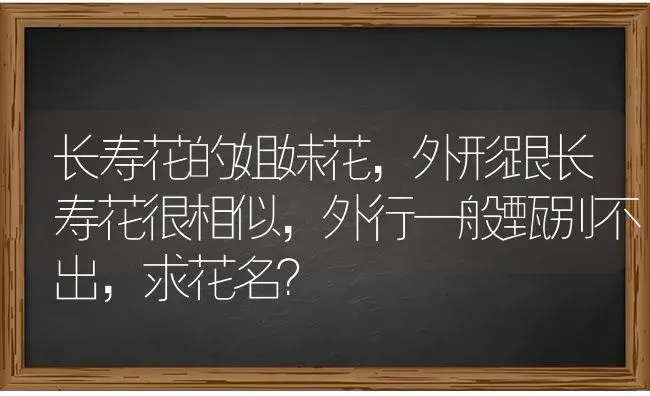 长寿花的姐妹花,外形跟长寿花很相似,外行一般甄别不出,求花名？ | 多肉养殖