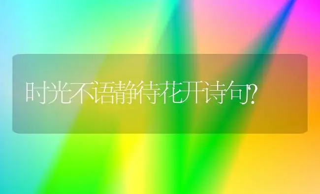 杜鹃花开放的时间和作者的形容？ | 绿植常识