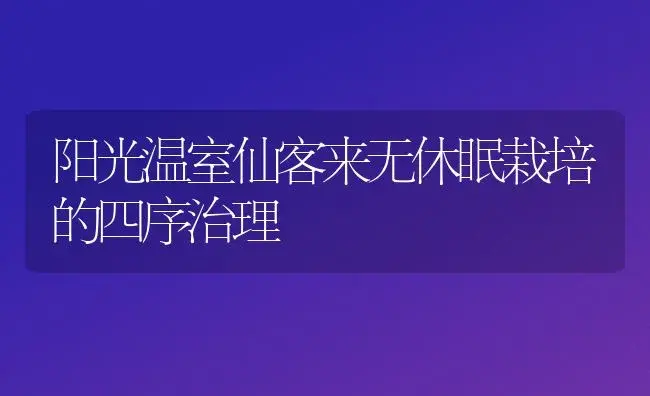 阳光温室仙客来无休眠栽培的四序治理 | 家庭养花