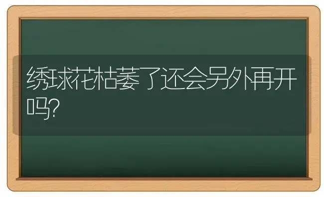 绣球花枯萎了还会另外再开吗？ | 绿植常识