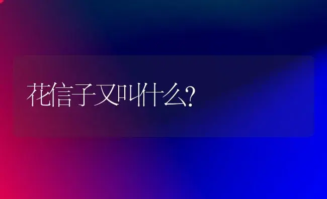 花信子又叫什么？ | 绿植常识