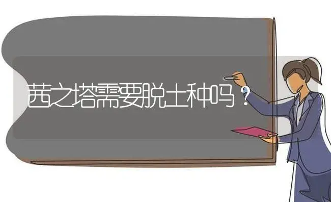 茜之塔需要脱土种吗？ | 多肉养殖