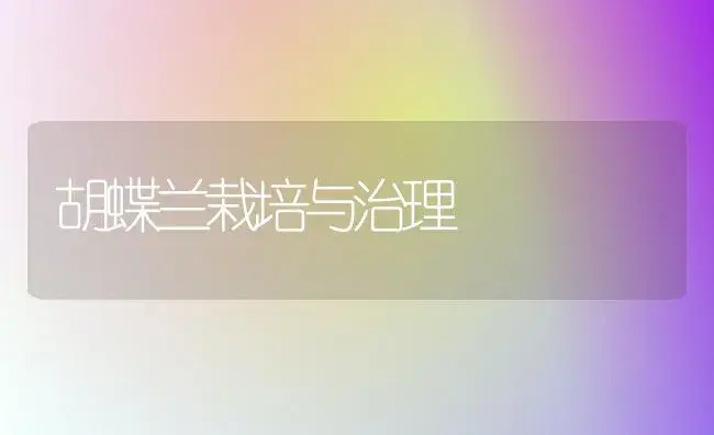 胡蝶兰栽培与治理 | 家庭养花