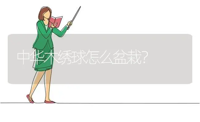 中华木绣球怎么盆栽？ | 绿植常识