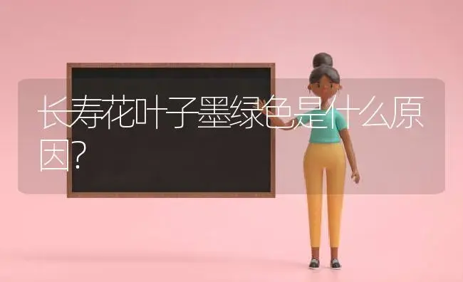 长寿花叶子墨绿色是什么原因？ | 多肉养殖