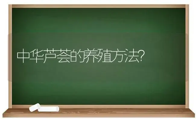 中华芦荟的养殖方法？ | 多肉养殖