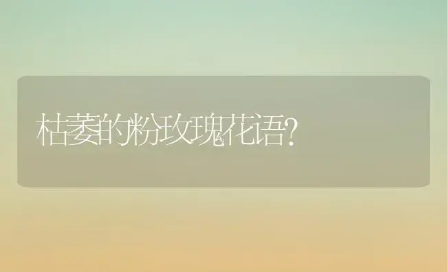 枯萎的粉玫瑰花语？ | 绿植常识