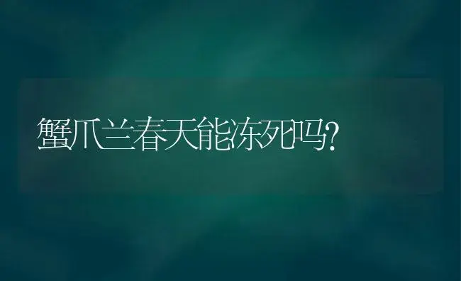 蟹爪兰春天能冻死吗？ | 多肉养殖